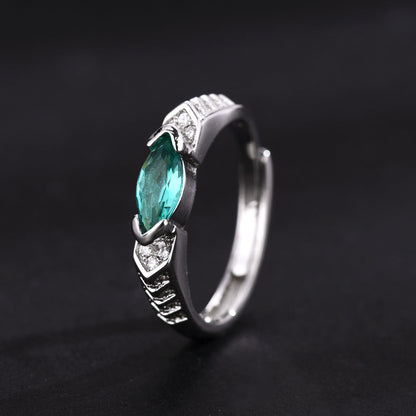 💥Dernier jour - 80% de réduction - 🔥DIYSTAR Bague en diamant Moissanite de Magnétologie💖